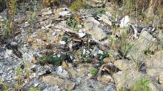 Biegli przeprowadzili oni odwierty w nielegalnych wysypiskach. Okazało, że wykryte tam odpady zawierały śmiertelnie groźne trucizny i związki rakotwórcze