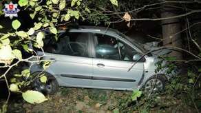 Samochód uderzył w drzewo. Zawiniła osa?