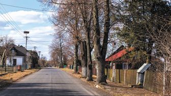 Niewykluczone, że wkrótce zniknie aleja starych lip w miejscowości Bubel Stary na Podlasiu. To już drugie podejście Zarządu Dróg Powiatowych do wycinki 50 przydrożnych drzew. Decyzję w tej sprawie podejmie gmina