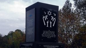 Uroczystości w Kraśniku. Historycznie i międzynarodowo