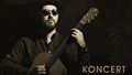 Jakub Zuckerman z koncertem charytatywnym w Puławach