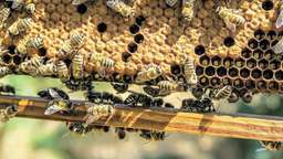  Wyjątkowy preparat opracowany przez badaczy z Lublina. To będzie rewolucja?