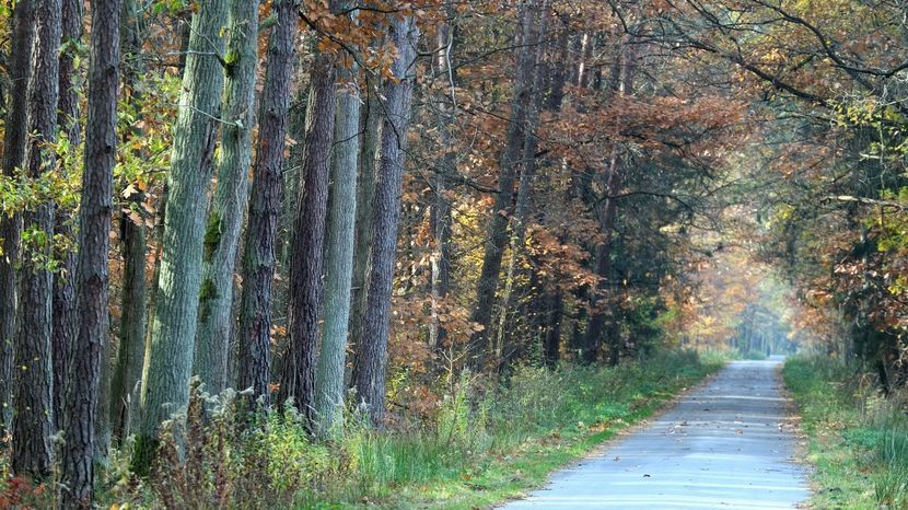 Wszystko wskazuje na to, że taka piękna pogoda utrzyma się co najmniej do 5 listopada, czyli do połowy przyszłego tygodnia