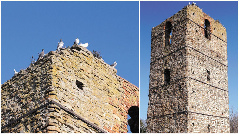Wieżę w Stołpiu, uchodzącą za najstarszy zabytek murowany w tej części Polski, opanowały gołębie