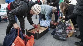 Rzucili się na darmowe jabłka. Niektórzy wynosili je siatkami [wideo]