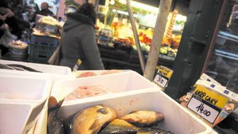 Coraz więcej sieci handlowych rezygnuje ze sprzedaży żywych karpi