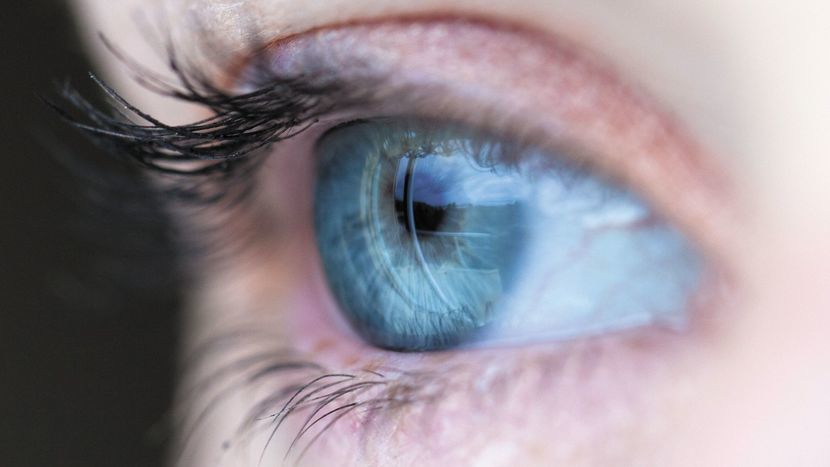 Zastosowanie terapii genowej w leczeniu niektórych chorób oczu może uratować wzrok