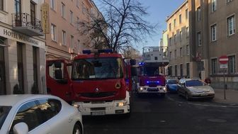 Ul. Sądowa: Kot wszedł na drzewo. Interweniowali strażacy [zdjęcia]