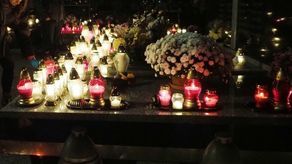 Cmentarz ma powstać wzdłuż drogi serwisowej przy S12