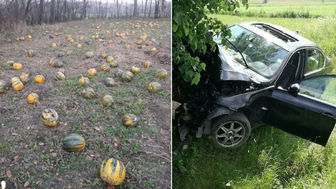 Lubelska policja podsumowuje rok z przymrużeniem oka: Dyniowa wpadka, BMW i antylopa