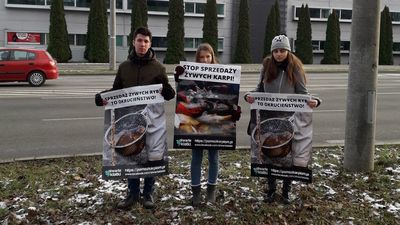 Lublin: Nie chcą sprzedaży żywych ryb. Protestują przed marketami