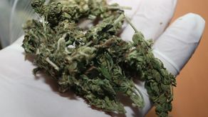 Materiał ilustracyjny