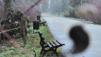 Jeżeli tym razem uda się pomyślnie rozstrzygnąć przetarg, to prace w parku zaczną się jeszcze przed wiosną

