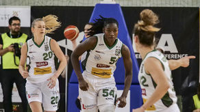 Pszczółki po porażce w Siedlcach: nie byłyśmy drużyną