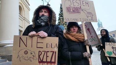 Dzik niewinny! Idźcie na spacery! Pikieta w Lublinie przeciwko polowaniom [zdjęcia]