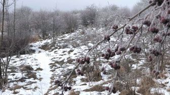 Górki czechowskie zimą