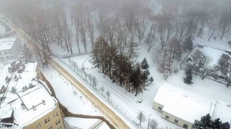 Osiedle miałoby powstać na początku al. Kraśnickiej, między terenami wojskowymi a działkami UMCS. Ale zezwolenie na wycinkę drzew oprotestowały dwa stowarzyszenia