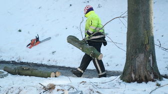 Na ul. Kalinowszczyzna trwa wielka wycinka. Usunięte zostanie 108 drzew, powstaną 82 miejsca parkingowe
