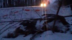 Nasz Czytelnik, który przysłał nam zdjęcia widział leżące przy drodze zwierzę jeszcze w piątek ok. godz. 7