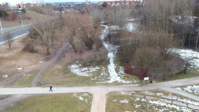 Nowa alejka ma być ułożona w miejscu wydeptanej ścieżki