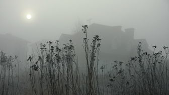 Jak Polska radzi sobie ze smogiem? Najnowszy raport nie pozostawia wątpliwości