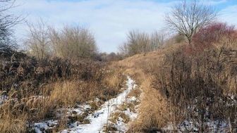 Referendum w Lublinie. Wyznaczono miejsca, gdzie można agitować ws. górek czechowskich