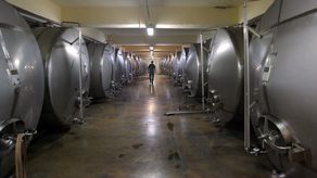 Leżakownia miodu pitnego w siedzibie Apisu w Lublinie