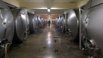 Leżakownia miodu pitnego w siedzibie Apisu w Lublinie