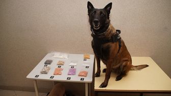 Ten pies ma nosa. W tej torbie było dużo nielegalnego towaru