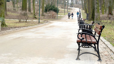 Dbanie o parkowe ławki będzie w zakresie obowiązków poszukiwanej firmy