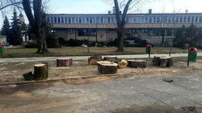 Lubelskie: Mieszkańcy cieszyli się z planów rewitalizacji. A potem zobaczyli ile wycięto drzew