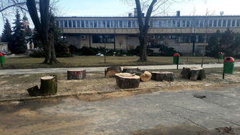 Lubelskie: Mieszkańcy cieszyli się z planów rewitalizacji. A potem zobaczyli ile wycięto drzew