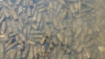 "Lubelska rafa butelkowa". Tak wygląda dno rzeki Czerniejówki w Lublinie [wideo]