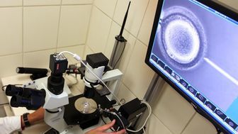 Miejskie in vitro w Lublinie? Będzie zbiórka podpisów pod wnioskiem do Rady Miasta