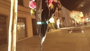 Rozwiesili wiosenne parasolki na deptaku. Ktoś je w nocy zerwał [zdjęcia]
