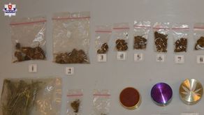 Narkotyki znalezione w mieszkaniu 20-latka