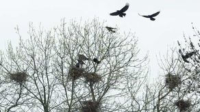 Materiał ilustracyjny