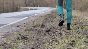 Lubelskie: Strach padł na żołnierzy. Proszą o zgodę na odstrzał dzików