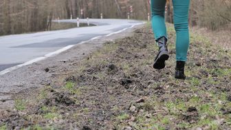 Lubelskie: Strach padł na żołnierzy. Proszą o zgodę na odstrzał dzików