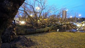 Alert RCB jest rozsyłany w związku z bardzo silnym i porywistym wiatrem, który prognozowany jest w sobotę wieczorem i w nocy