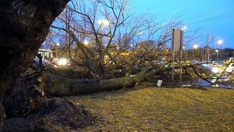 Alert RCB jest rozsyłany w związku z bardzo silnym i porywistym wiatrem, który prognozowany jest w sobotę wieczorem i w nocy