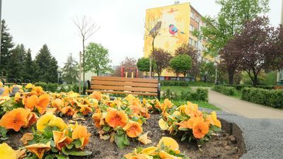 Lublin: Kwiaty w kolorze muralu. Mieszkańcy chwalą pomysł