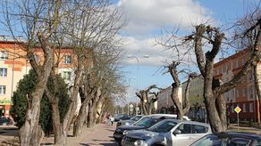 „Aleja jabłoniowa” w dzielnicy fabrycznej to jeden z symboli tej części miasta