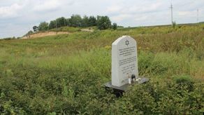 W pobliżu Klementowic w powiecie puławskim, na jednym z pól znajduje się grób, w którym pochowano ciała około 350 mężczyzn, polskich obywateli pochodzenia żydowskiego