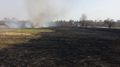 Płoną trawy koło Lublina. Strażacy walczą z ogniem [zdjęcia]