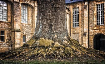 Jak I Gdzie Szukać Informacji O Swoich Przodkach Genealogia