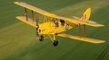 Taylorcraft „Auster IV”