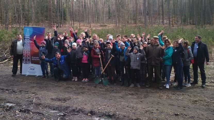W tegorocznej akcji sadzenia lasu uczestniczyli uczniowie Szkoły Podstawowej w Łosińcu. Wraz z energetykami w Nadleśnictwie Tomaszów Lubelski posadzili ponad 5000 drzewek