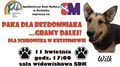 „Paka dla Bezdomniaka... gramy dalej!”. Koncert charytatywny w SDK w Świdniku