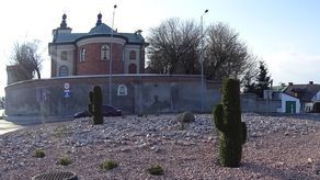 Lubelskie: Kierowcy mogą poczuć się jak w Meksyku. Kaktusy wyrosły na rondzie w Piaskach